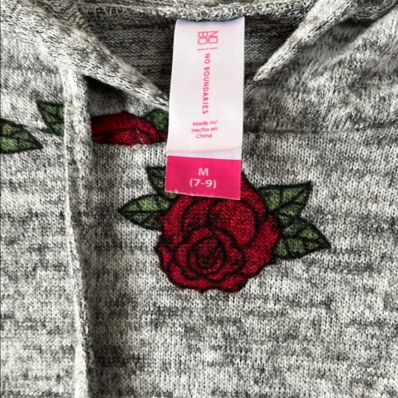 No Boundaries Gray Long Sleeve Relaxed Hoodie - Picture 7 of 8